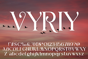 Vyriy font family, a Serif Font by vlad.berla (Thumbnail 2 of 8)