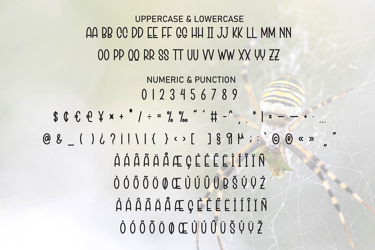 Tricky Spider | Script Font, a Script Font by Scratchones (Photo 7 of 8)