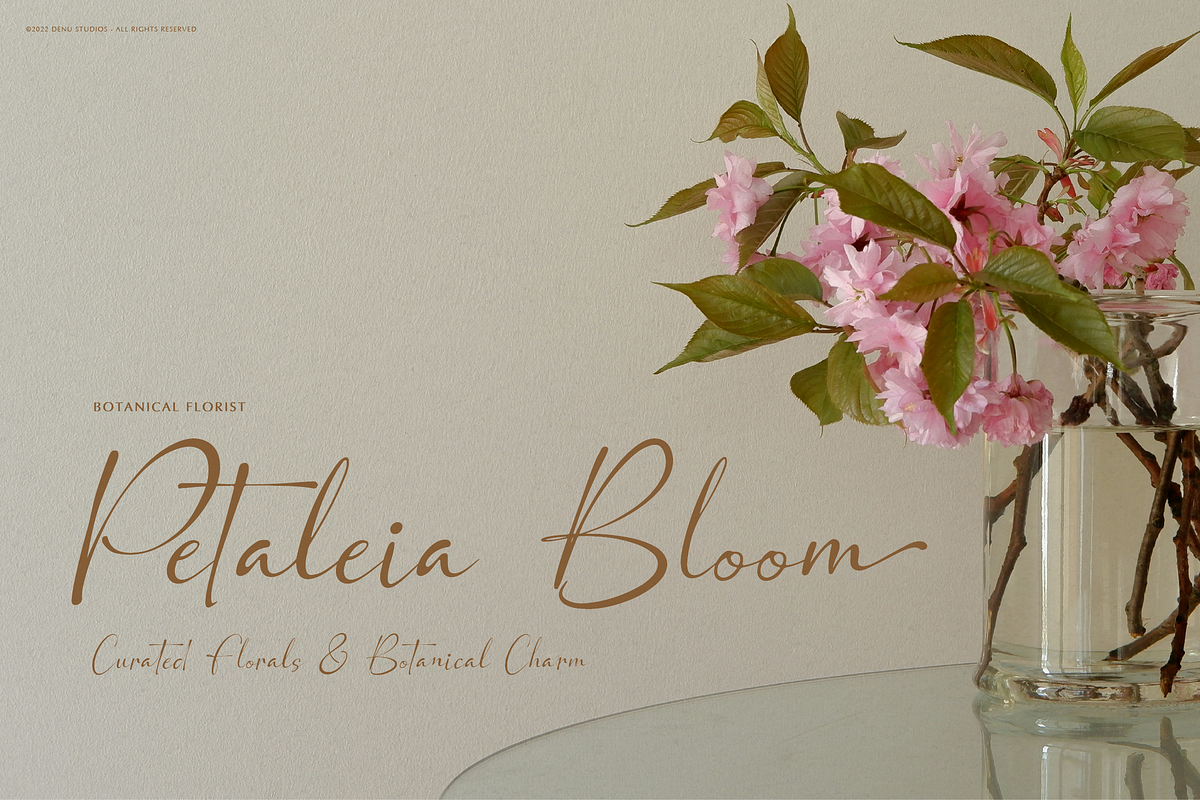 Bohemiya Felmirah | Signature Font, a Script Font by Denustudios (Photo 3 of 12)