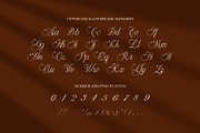 Amerys Wedding Script Font, a Script Font by Elegant Font (Thumbnail 9 of 9)