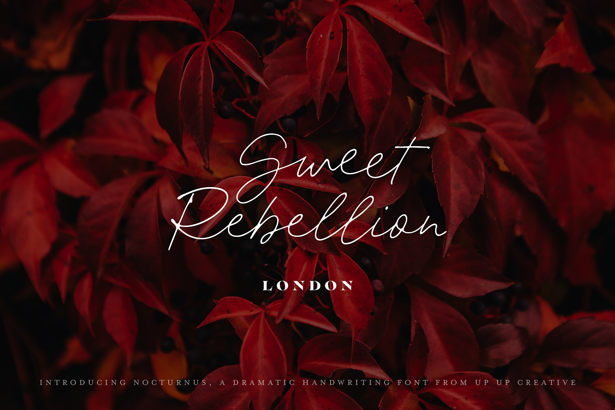 Nocturnus Handwritten Script Font, a Script Font by Up Up Creative (Photo 6 of 15)