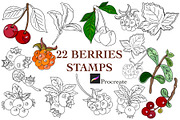 Forest Berries Digital Stamps, a Graphic by Favorites_Art (Thumbnail 1 of 6)