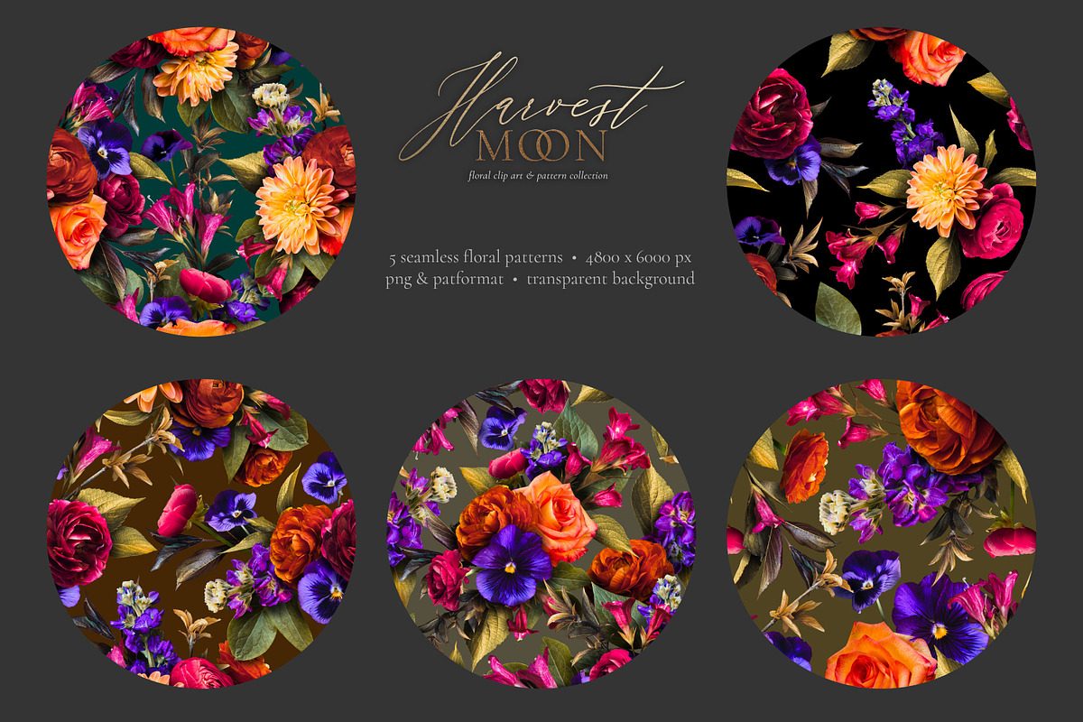 Harvest Moon Floral Clip Art Kit, an Object Graphic by Eclectic Anthology (Photo 10 of 21)