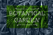TWIG, a Font by alekseiderin (Thumbnail 2 of 4)
