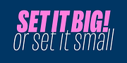 Maleo, a Sans Serif Font by Tokotype (Thumbnail 9 of 12)