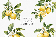 Sicilian Lemon - Watercolor clipart, a Decorative Illustration by ThaismotaCreativeCo (Thumbnail 3 of 9)