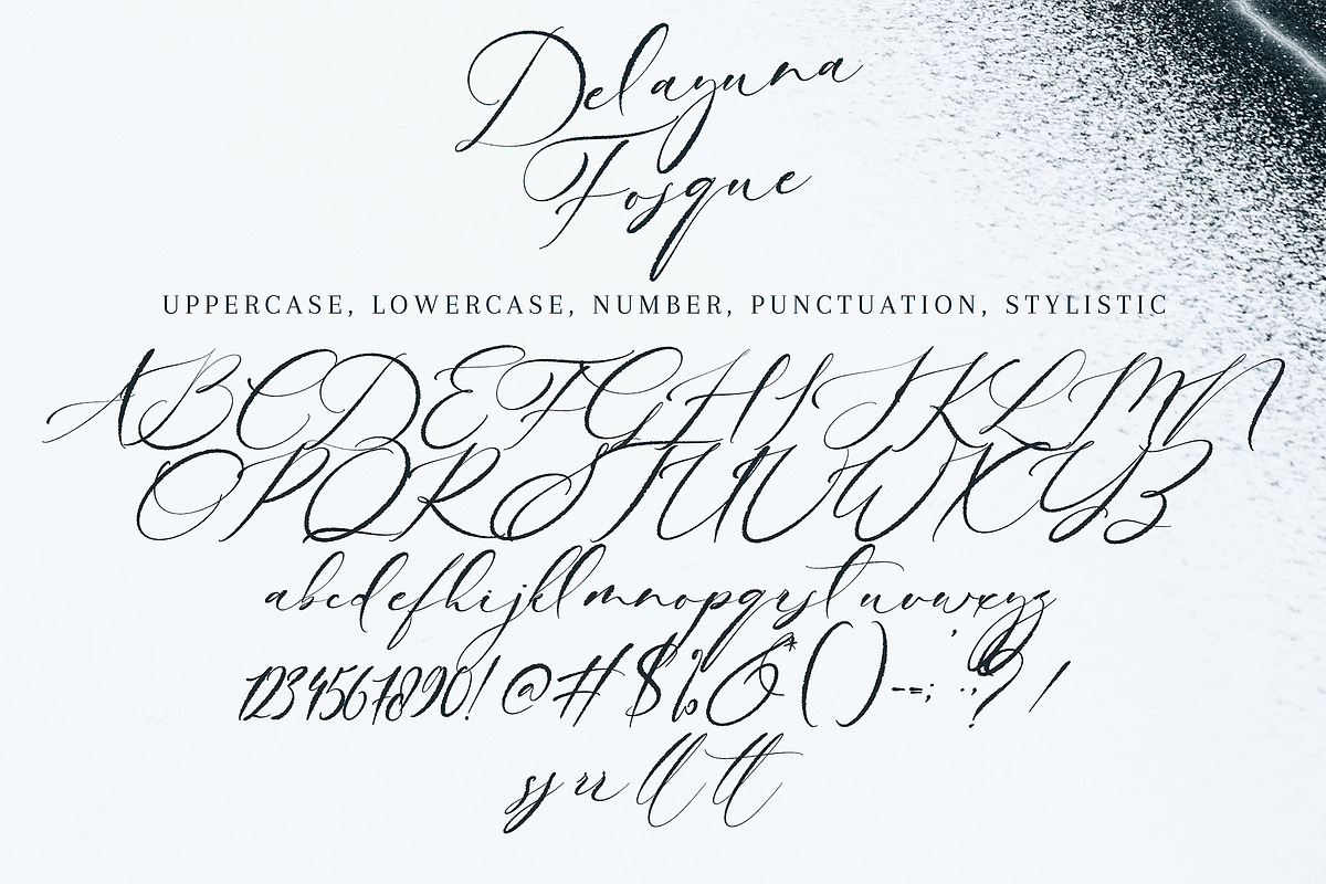 Delayuna Fosque, a Script Font by pineungtype (Photo 9 of 9)