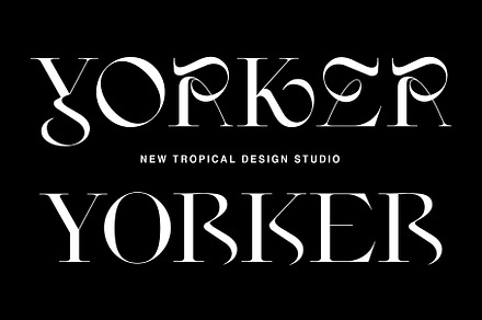 yamaki FP-20 ヤマキ New Yorker type New Yorker Type Pro Font | Webfont & Desktop | MyFonts
