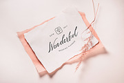 Hey Jane - Lovely Script, a Handwritten Font by Typefactoryco (Thumbnail 6 of 9)