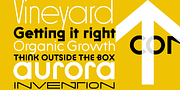 Constroke, a Sans Serif Font by ingoFonts (Thumbnail 10 of 11)