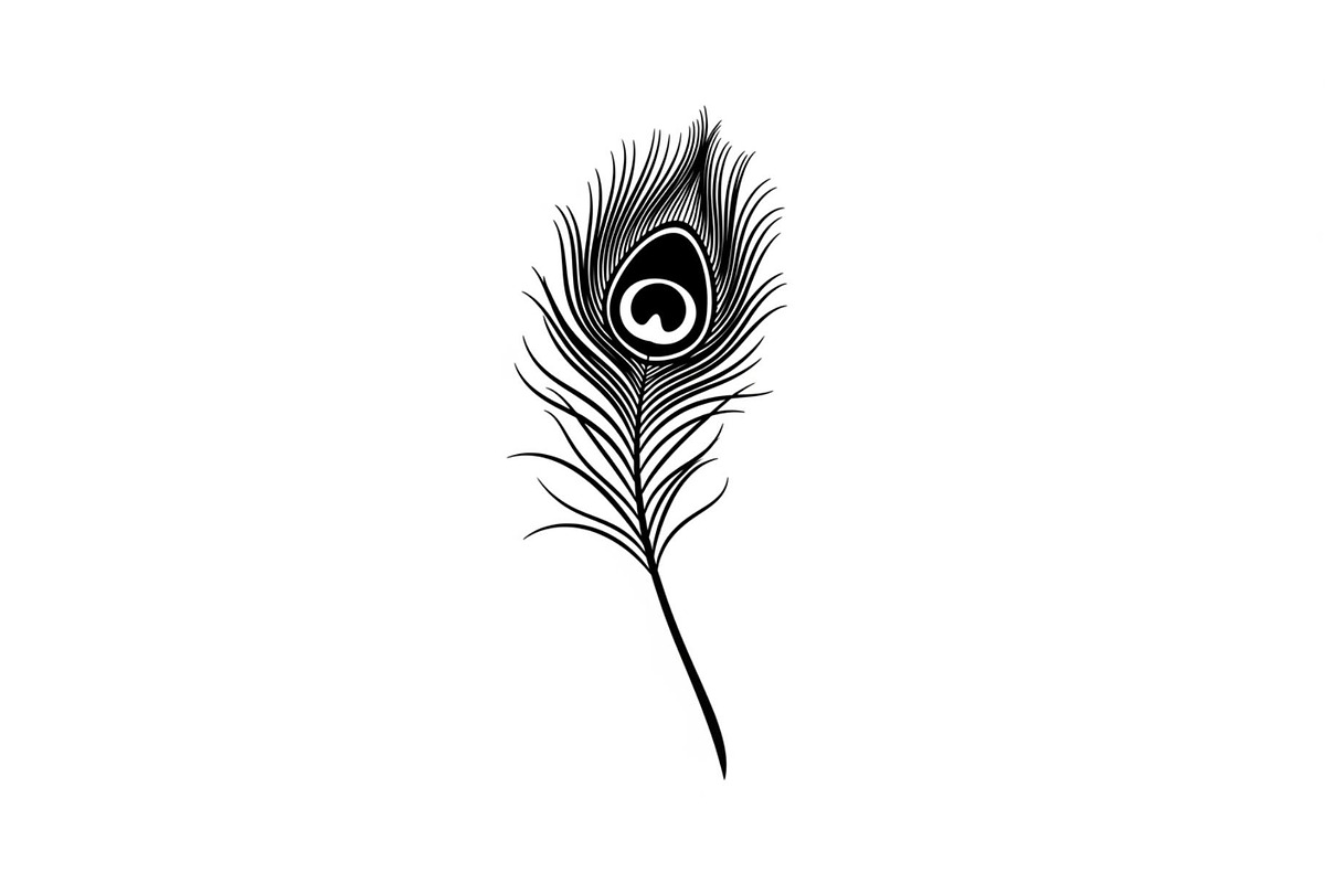 Peacock Feather Silhouette Bundle, an Illustration by jahid234 (Photo 21 of 31)
