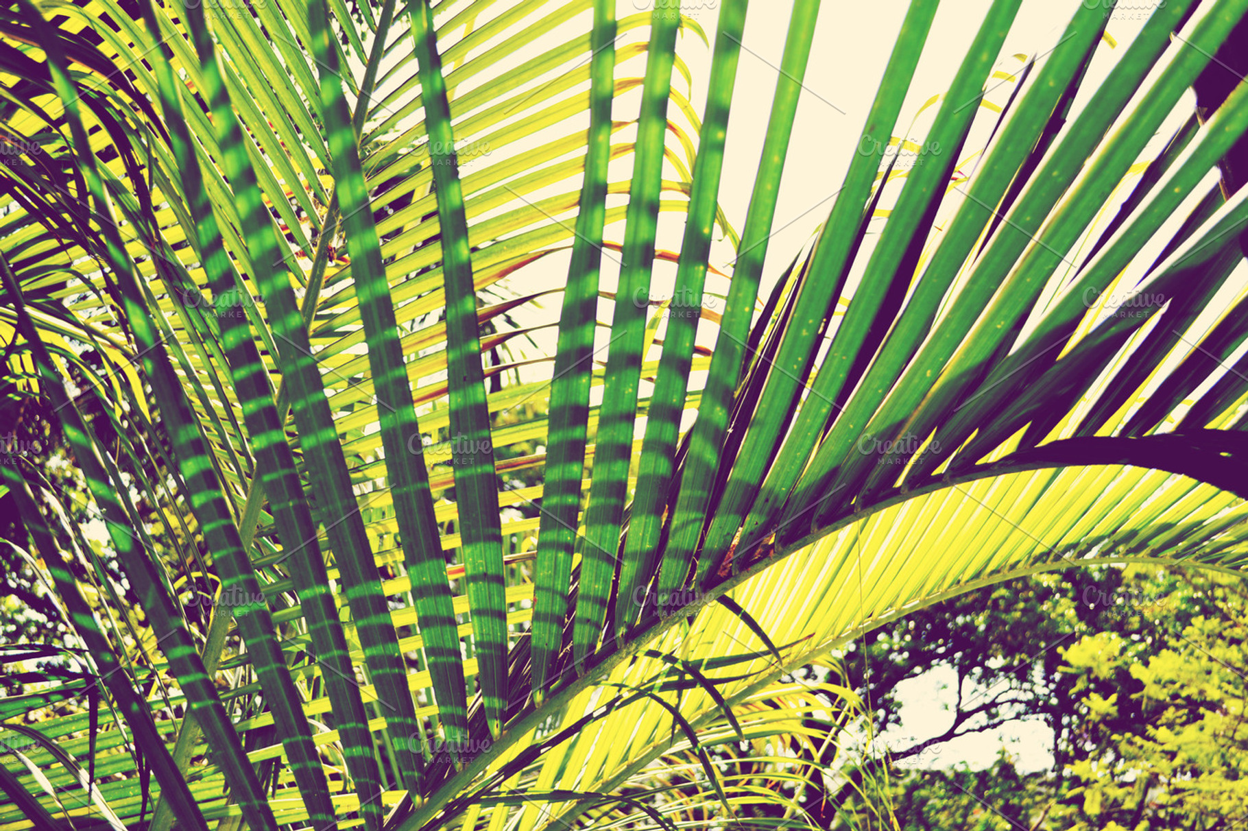 Summer Love.