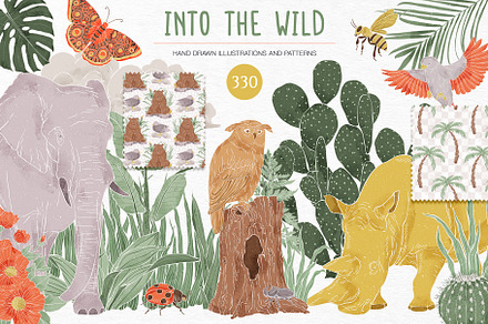 Into the Wild Collection