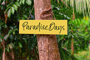 Pastelswirl Casual Handwritten Font, a Script Font by stylishtype.co (Thumbnail 3 of 15)