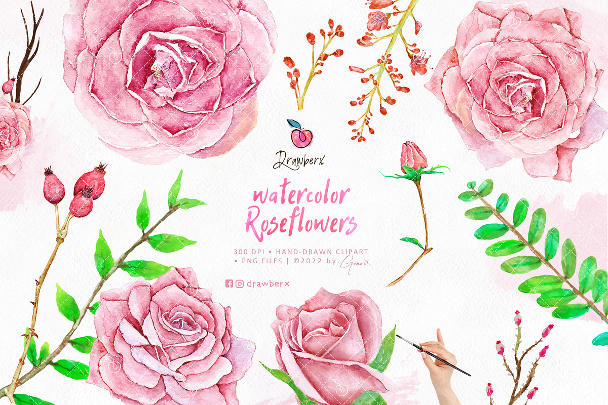 Roses Watercolor floral frames 028, an Illustration by Drawberx (Photo 2 of 10)