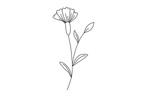 Single wildflower outline ink, an Object Illustration by Tati_Kli