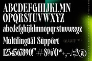 Grafistye Modern Display Serif Font, a Serif Font by timelesstype.co (Thumbnail 18 of 20)