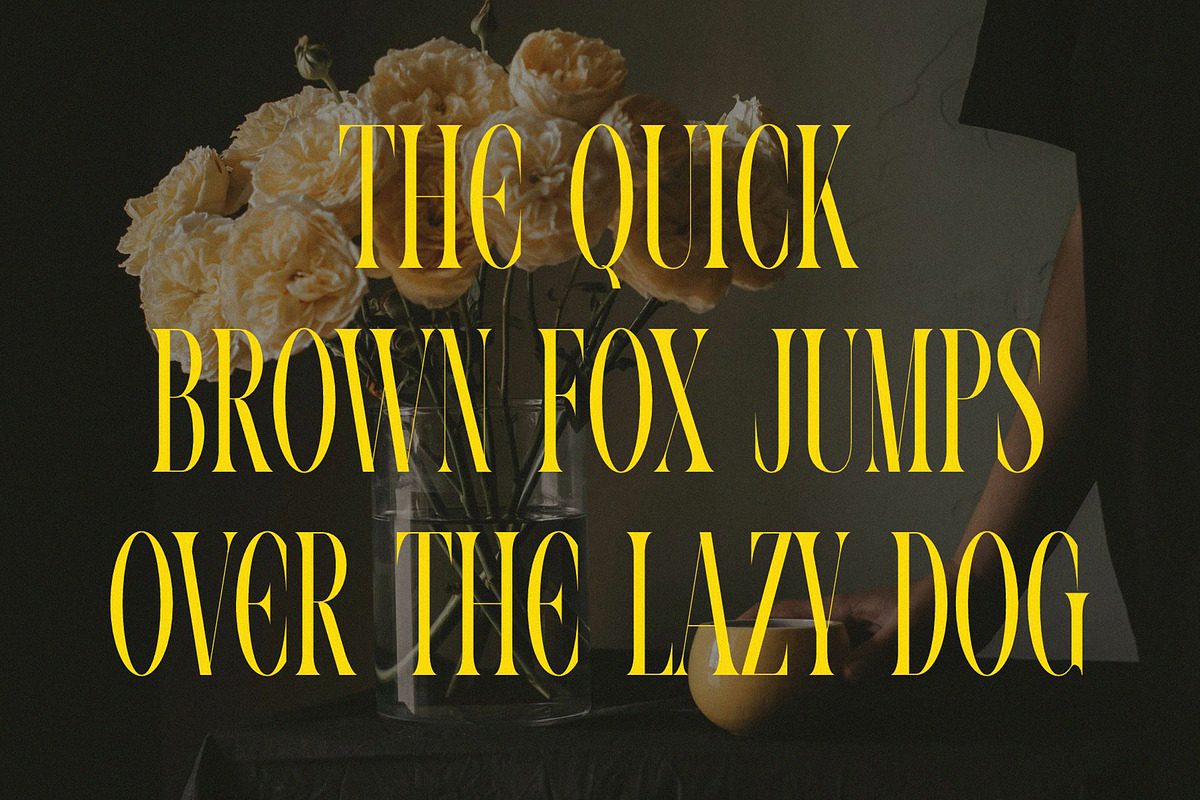 VOLTUNE Elegant Condensed Serif, a Serif Font by Alfinart (Photo 7 of 10)