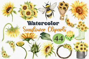 Watercolor Sunflower Clipart, 44 PNG