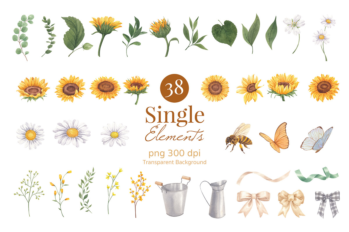 Sunflower Blooming Watercolor, an Object Illustration by CreativeValuation (Photo 2 of 15)