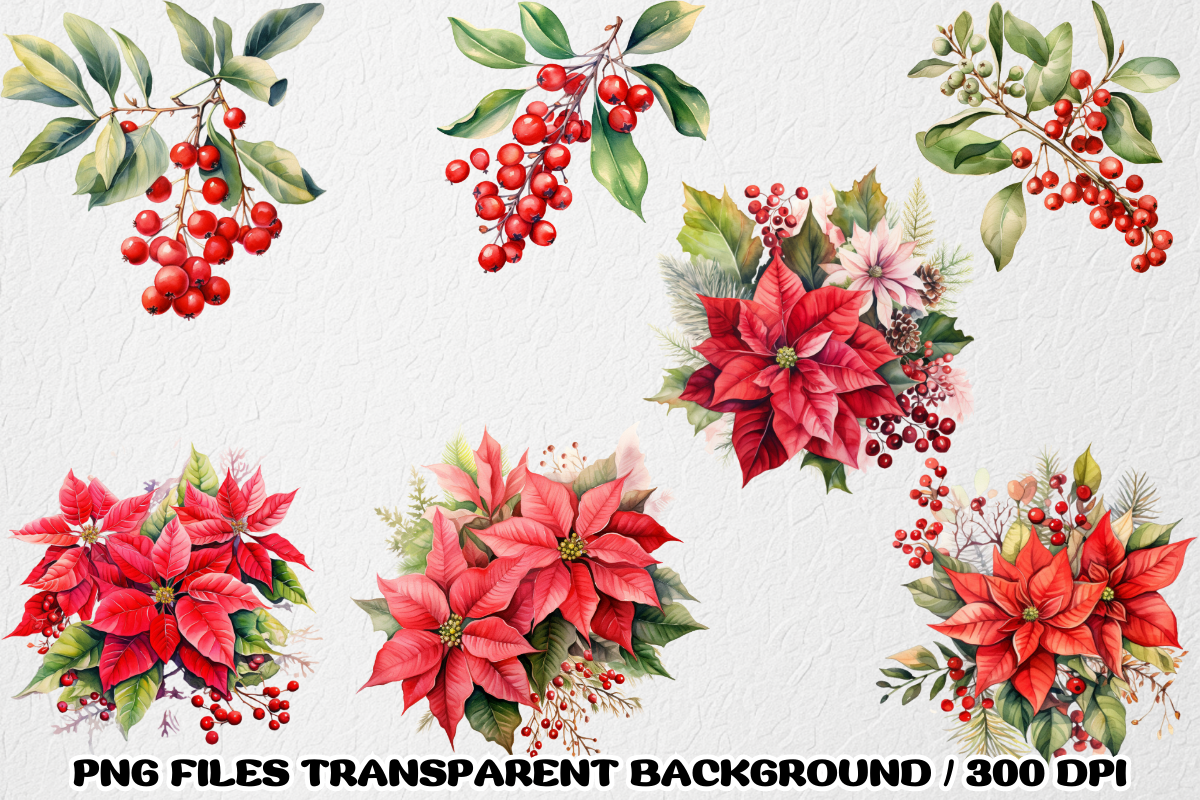 Mistletoe Poinsettia flowers Clipart, a Decorative Illustration by SindyPrintDesign (Photo 2 of 3)