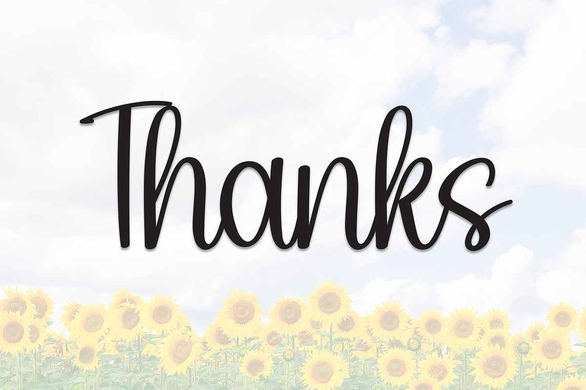 Sunflower | Script Font, a Handwritten Font by Scratchones (Photo 8 of 8)
