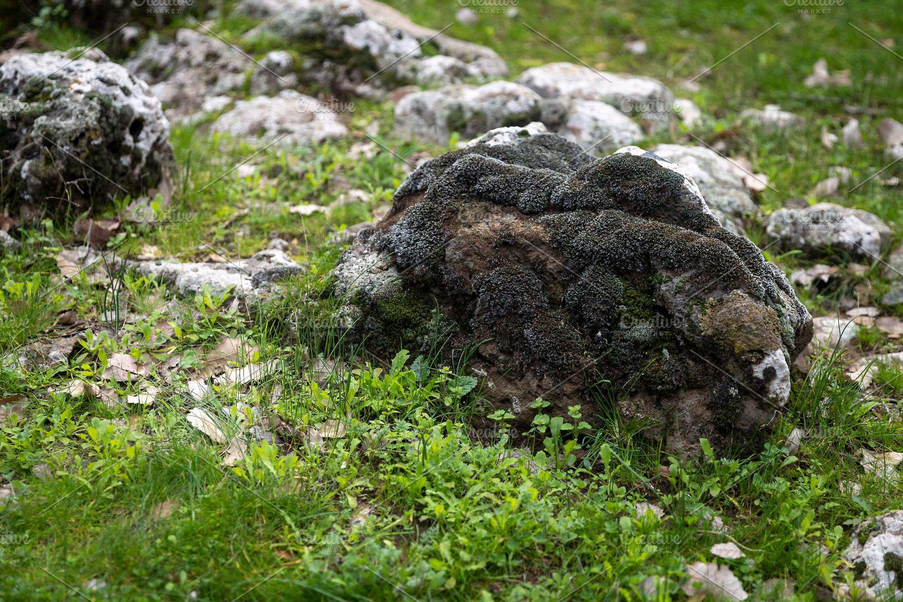 Close up of a large natural stone co, a Nature Photo by Imaginarium