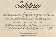 Sakéna Handwriting Font, a Script Font by RMPL.std (Thumbnail 5 of 5)