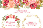 Watercolor floral collection, an Illustration by antuanetto (Thumbnail 2 of 3)