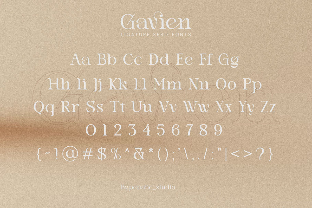 Gavien _ Ligature Serif Font, a Serif Font by Penatic Studio (Photo 9 of 10)