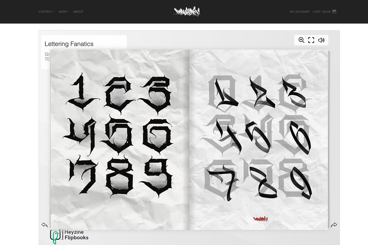 Graffiti Alphabets – Lettering Ebook, an Education Illustration by Torus1 (Photo 6 of 9)