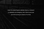 Mamallia - Handwriting font, a Handwritten Font by portype (Thumbnail 5 of 6)