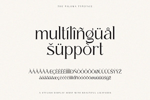 The Paloma - Modern Serif Font