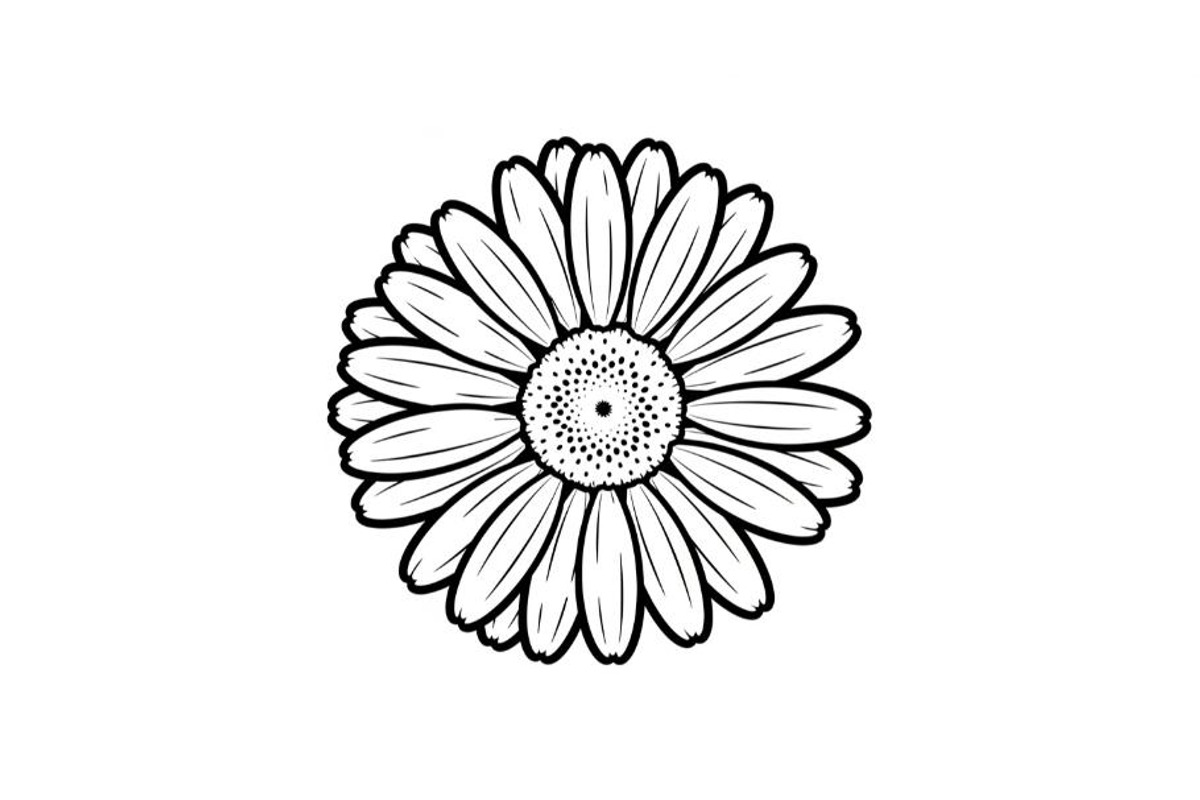 Daisy Flower, an Object Graphic by Creativeshirt (Photo 5 of 5)