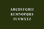 Wainscoted Modern Serif Font, a Serif Font by UICreative (Thumbnail 8 of 12)
