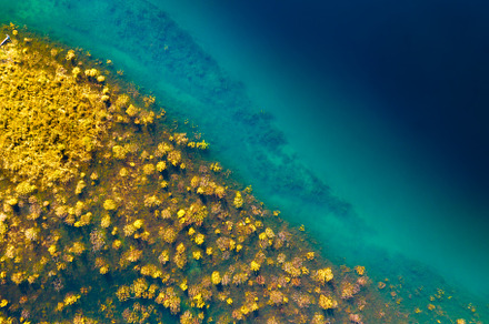 Drone view of the river