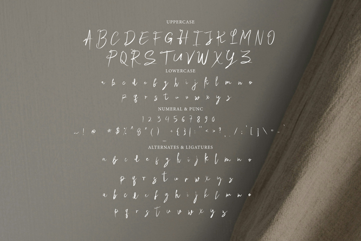 Voltastrory Signature, a Handwritten Font by Eltypesstudio (Photo 9 of 10)