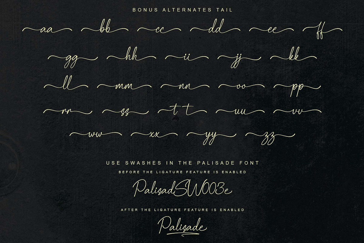 Palisade | Handwritten, a Handwritten Font by Aveni Letter Type (Photo 12 of 15)