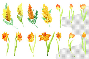 Watercolor Yellow Spring Flowers