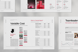 Financial Report Brochure Template