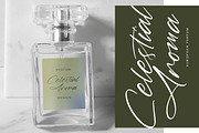 Marie Glachith Beautiful Script Font, a Script Font by Letterena Studios Script (Thumbnail 2 of 15)