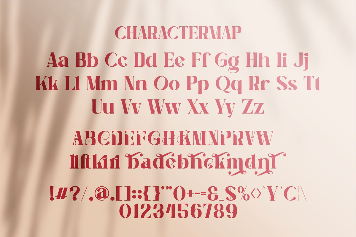 Karida || Bold Stylish Serif Font, a Serif Font by Idea Studio (Photo 8 of 10)