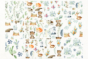 70% off. Bundle. Woodland animals., an Animal Illustration by TaPilipa (Thumbnail 36 of 38)