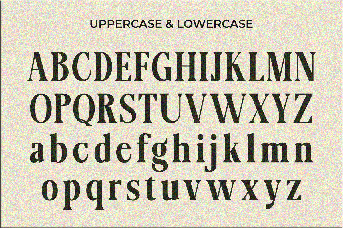 Lignis, a Serif Font by Zafiratype (Photo 13 of 15)