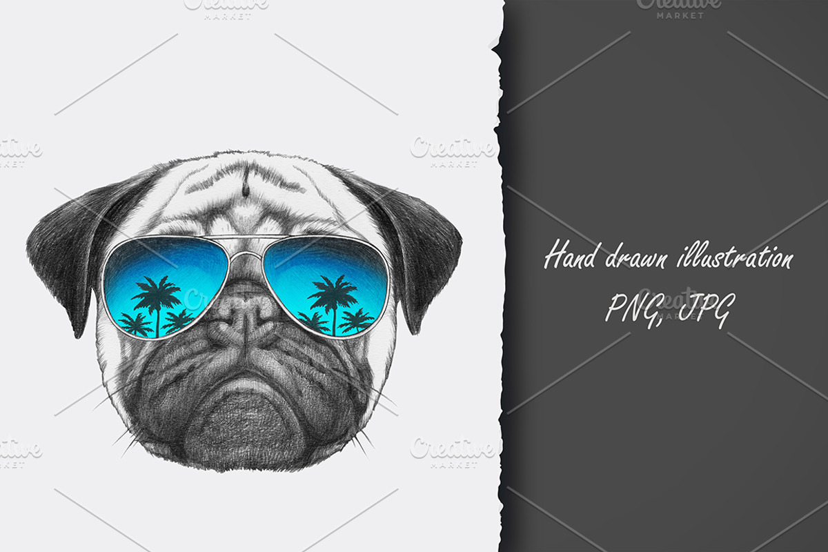 Pug Dog / Summertime, an Animal Illustration by Victoria_Novak (Photo 1 of 3)