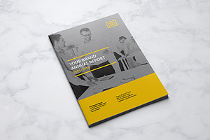 Project Annual Report