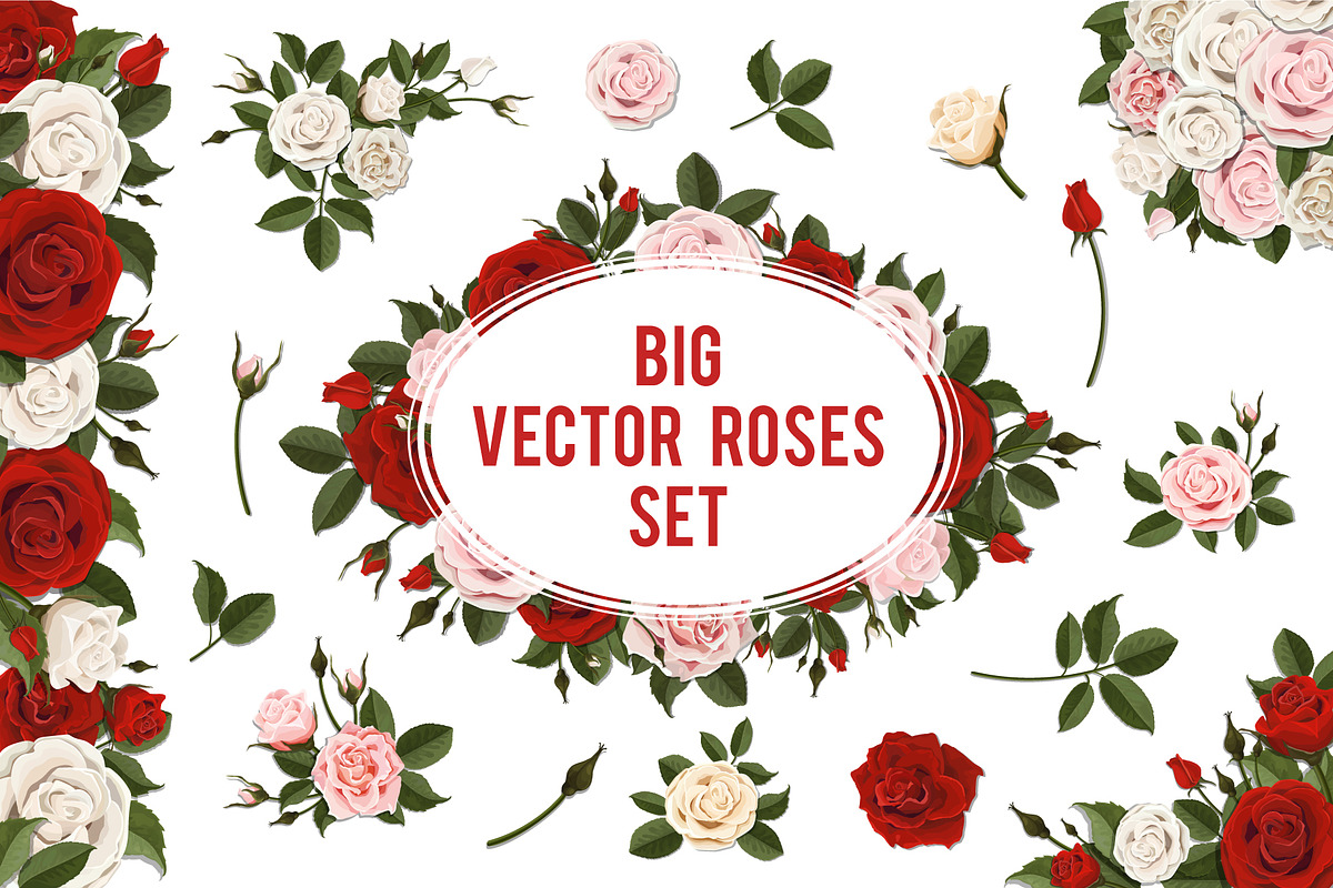 Set of white and red vector roses, an Illustration by belander (Photo 1 of 10)