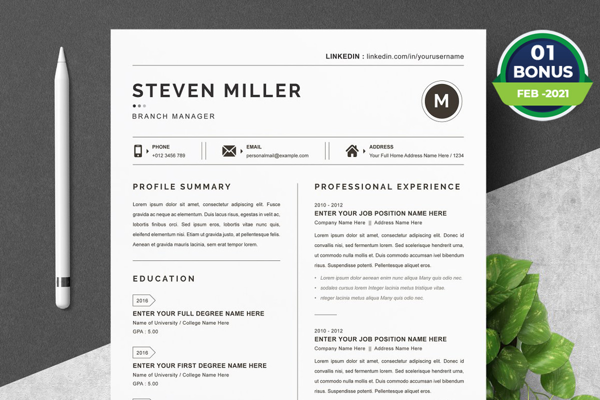 Resume/CV Bundle | 200+ for $29, a Resume Template by ResumeInventor (Photo 157 of 207)