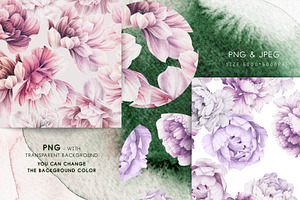 Peonies In Bloom, Seamless Patterns