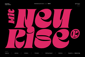 MIT Neurise, a Serif Font by Maculinc Type
